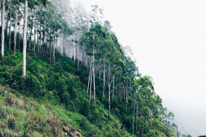 kodaikanal