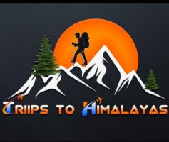 Tour Provider Logo