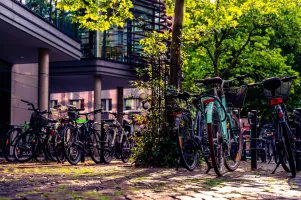 Mountain Biking Parks