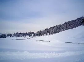 Gulmarg