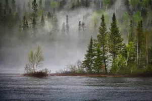 Lake Mist