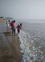 Chandipur Beach