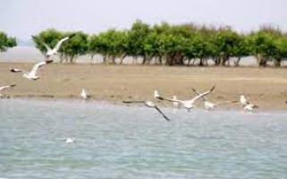 Jambu Dwip