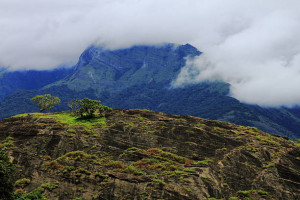 Malampuzha