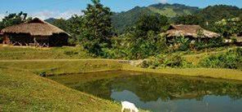 Mithun And Jersey Cross Breeding Farm