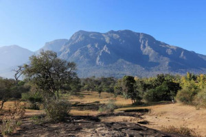 Mudumalai National Park