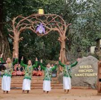 Sessa Orchid Sanctuary