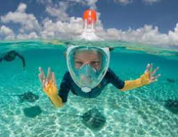 Snorkelling
