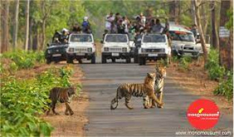 Tikarpada Wildlife Sanctuary