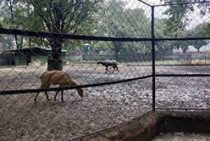 Zoological Garden